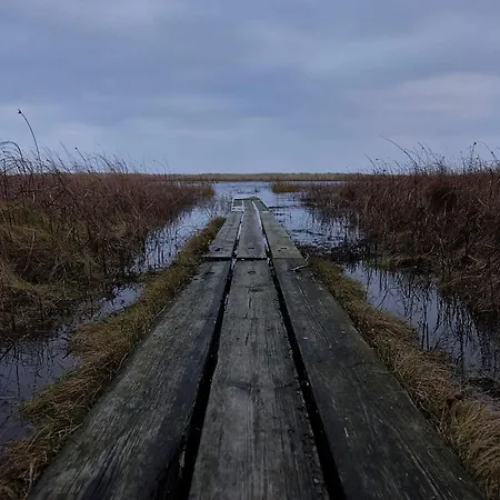 Secluded Retreat In Koldkaer - By Traum