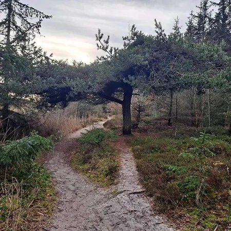 Secluded Retreat In Koldkaer - By Traum * Халс