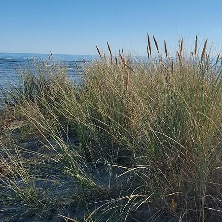 Secluded Retreat In Koldkaer - By Traum Дом отдыха Халс