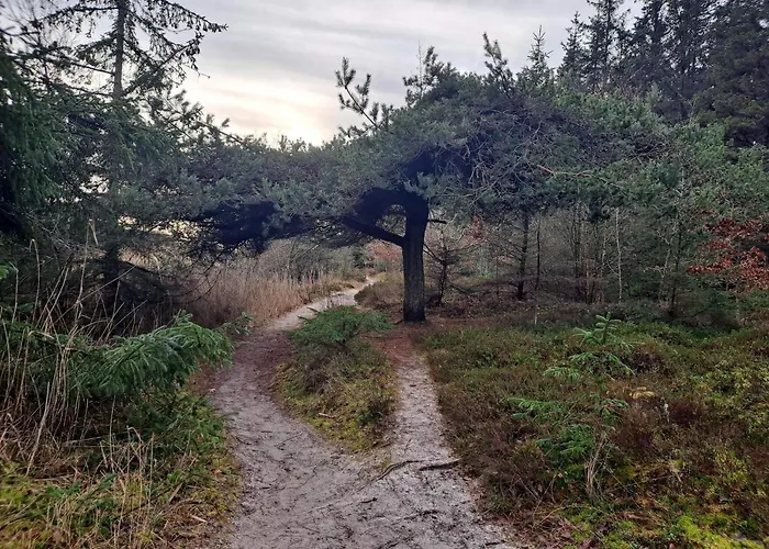 Secluded Retreat In Koldkaer - By Traum * Hals