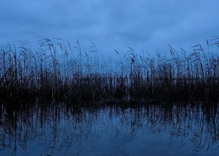 Secluded Retreat In Koldkaer - By Traum Semesterbostad Hals