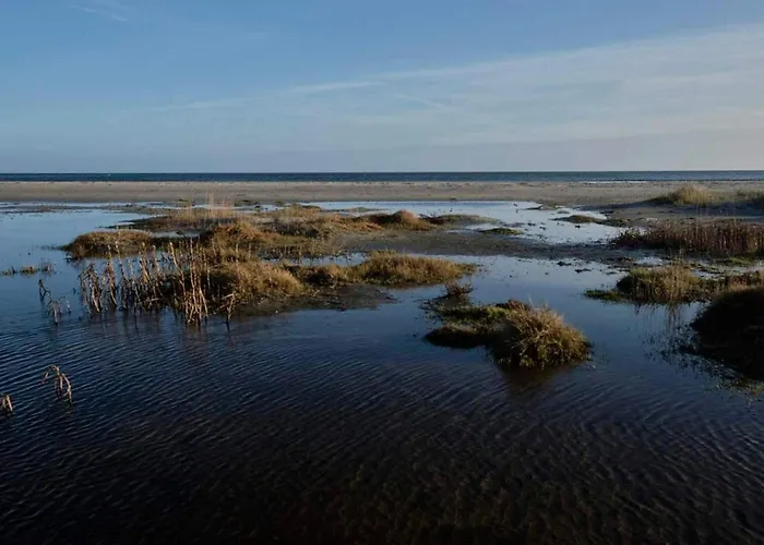 Secluded Retreat In Koldkaer - By Traum *