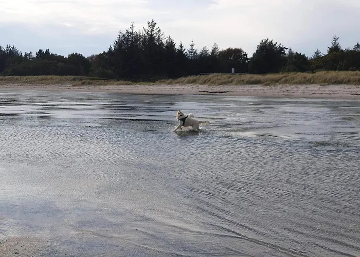 Secluded Retreat In Koldkaer - By Traum Semesterbostad *